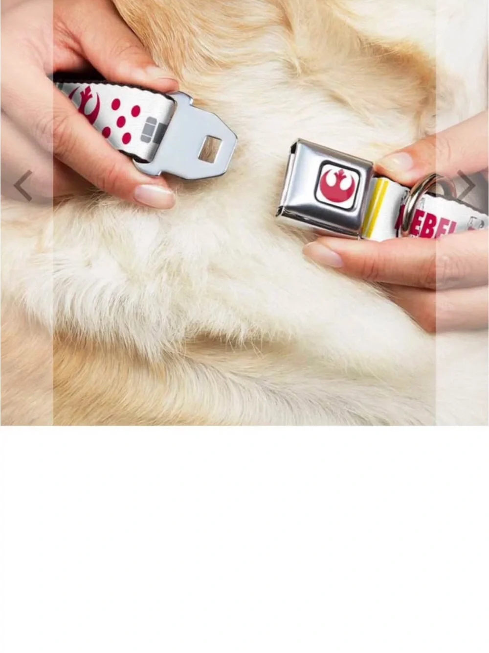 Buckle-Down Dog Collar Star Wars Rebel Pilot